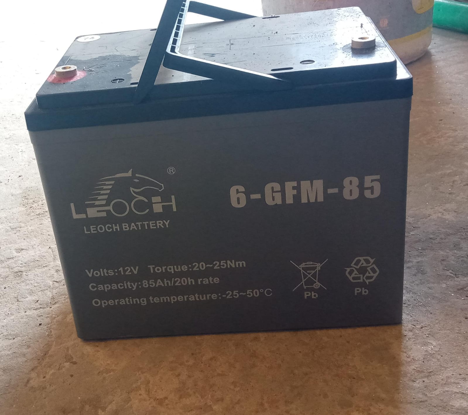 Leoch battery